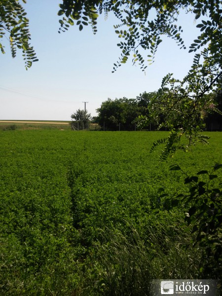 Észlelési fényképek