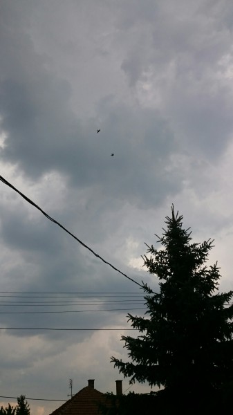 Észlelési fényképek