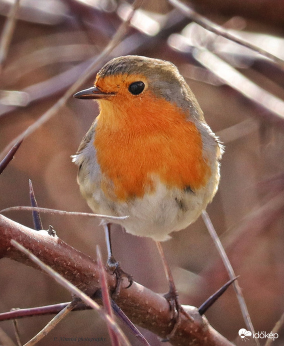 Ez az előnyösebb oldalam?☺️
