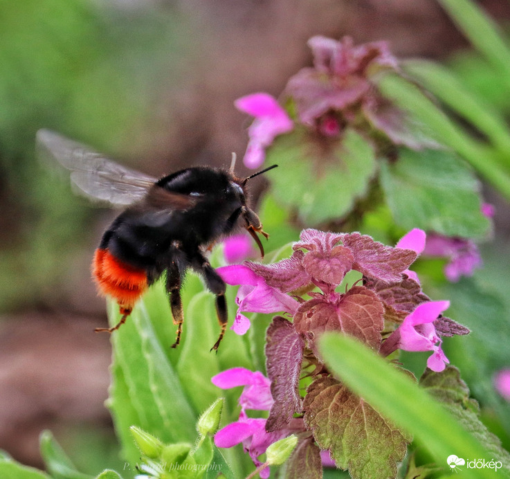 Kis szorgos ☺️☺️
