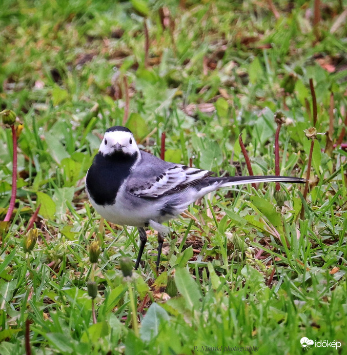 Nézz mélyen a szemembe :))
