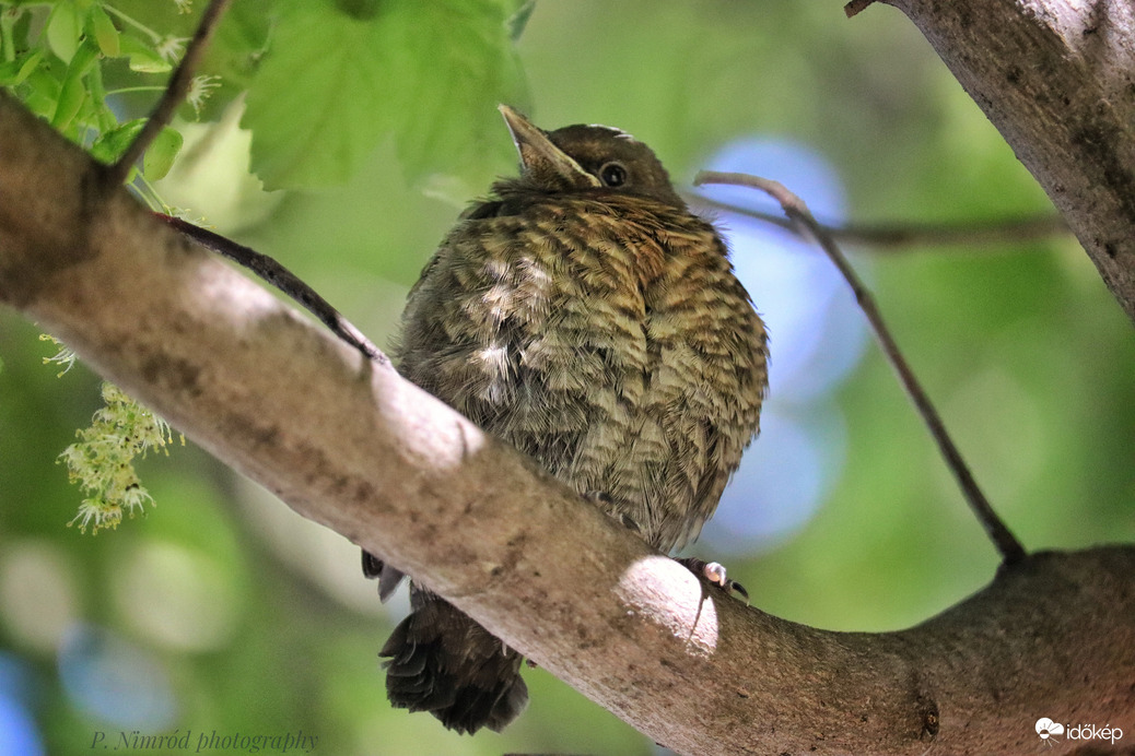 Kis cukiság ☺️☺️