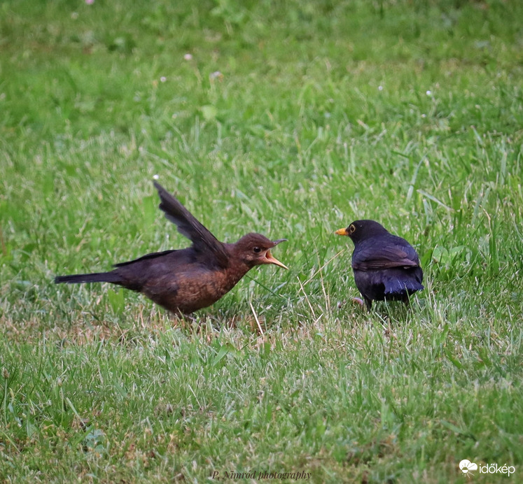 Boldog Valentin napot kívánok Mindenkinek :D :)