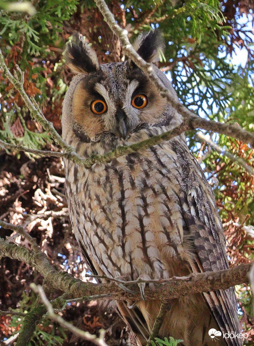 Ő még a gondolataidat is látja :))