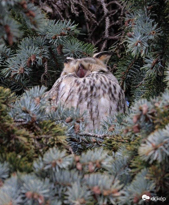 ,,Fááárasztó ez az éjszakai műszak " 