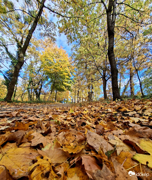 Itt van az ősz, itt van újra...