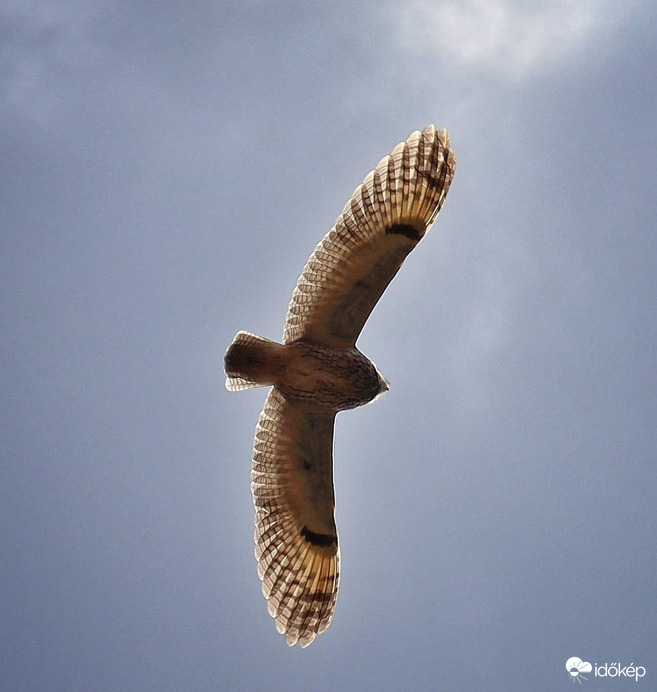 Nem mindennapi látvány 