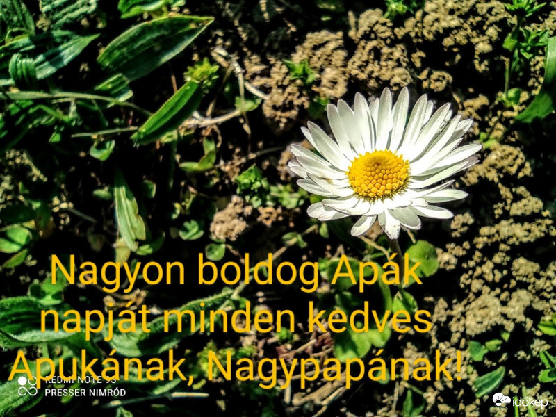 Nagyon boldog Apák Napját minden kedves Apukának, Nagypapának :)