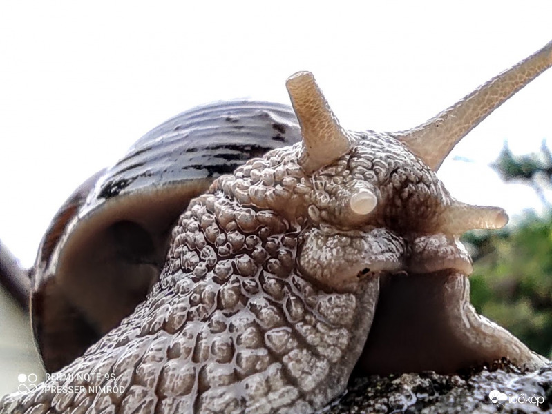 Hé, vajon mi lehet ez? Megnézem közelebbről :D :))