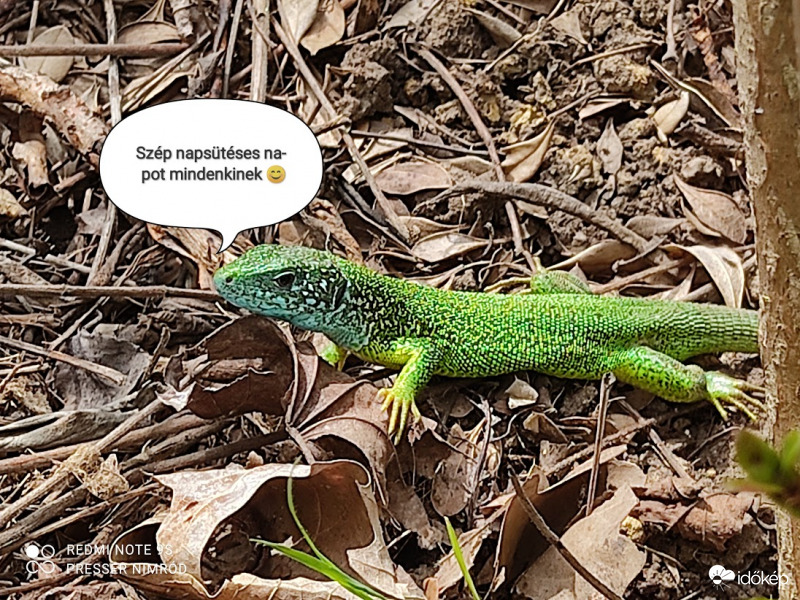 Sajnos ez ma már nem lesz meg :( Talán holnap :)