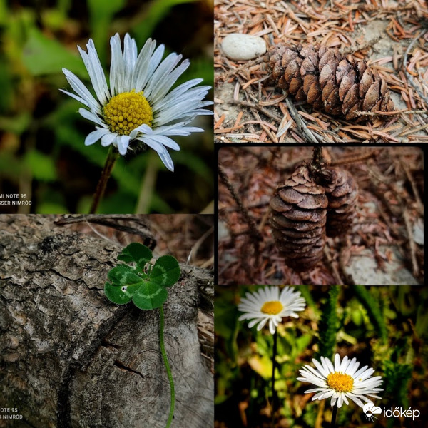 Mai fotókollázsom :)