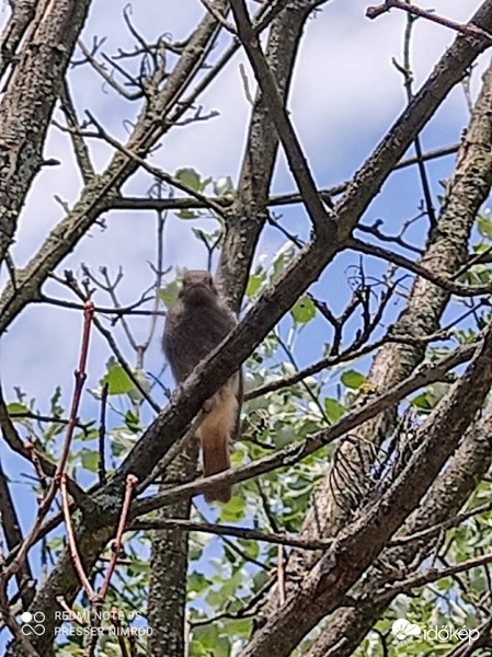 Az arcunk hétfő reggel