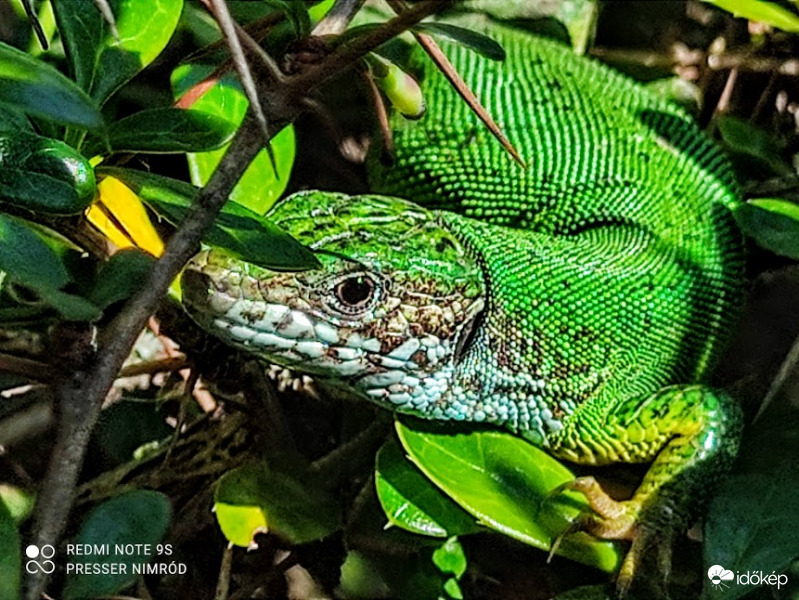 Egy csodás nap zárásaként. 