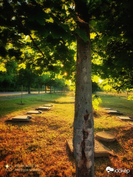 Törökbálinti délután