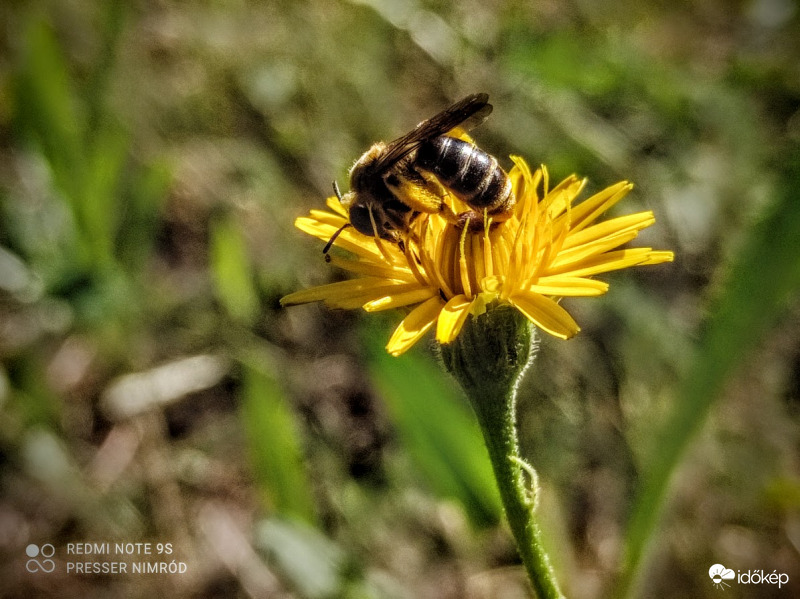 Ő még most is dolgozik :)