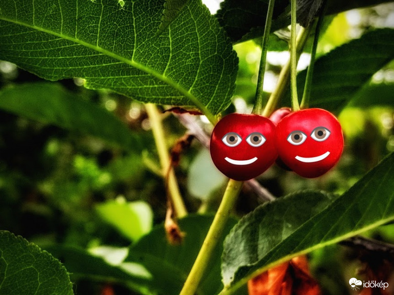 Ebben a szép időben mi is kipirosodtunk :))