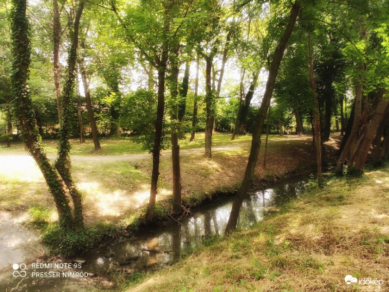 Zöld erdőben jártam...