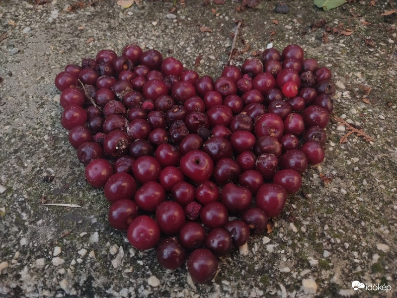 Szép jó reggelt mindenkinek :)