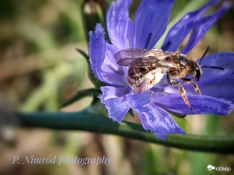 Indulásra készen :)