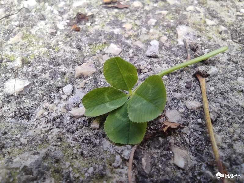 Ma is megleltem a szerencsét :)