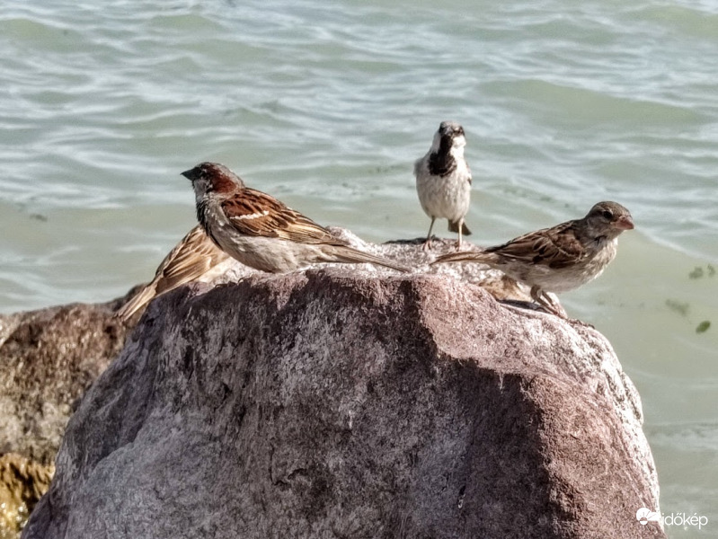 Három irányból megfigyelve :)