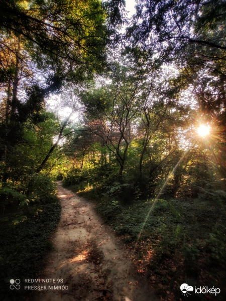 Erdei utakon :)