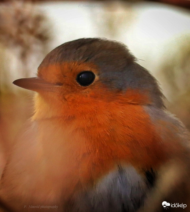 Jaj, ez az arc :) :) ☺️☺️☺️