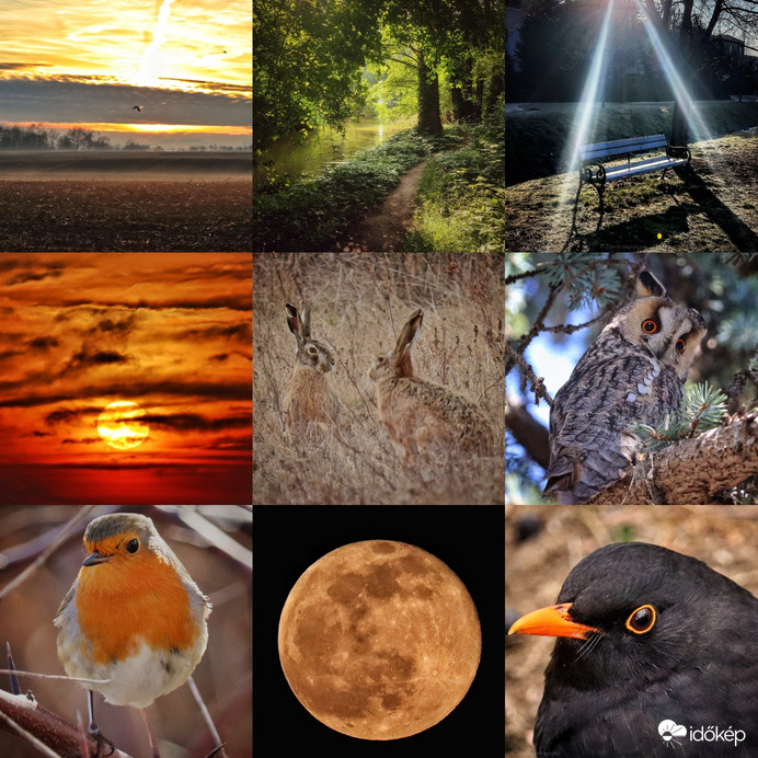 Egy kis összeállítás ☺️