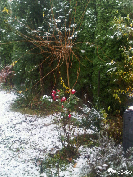 Észlelési fényképek