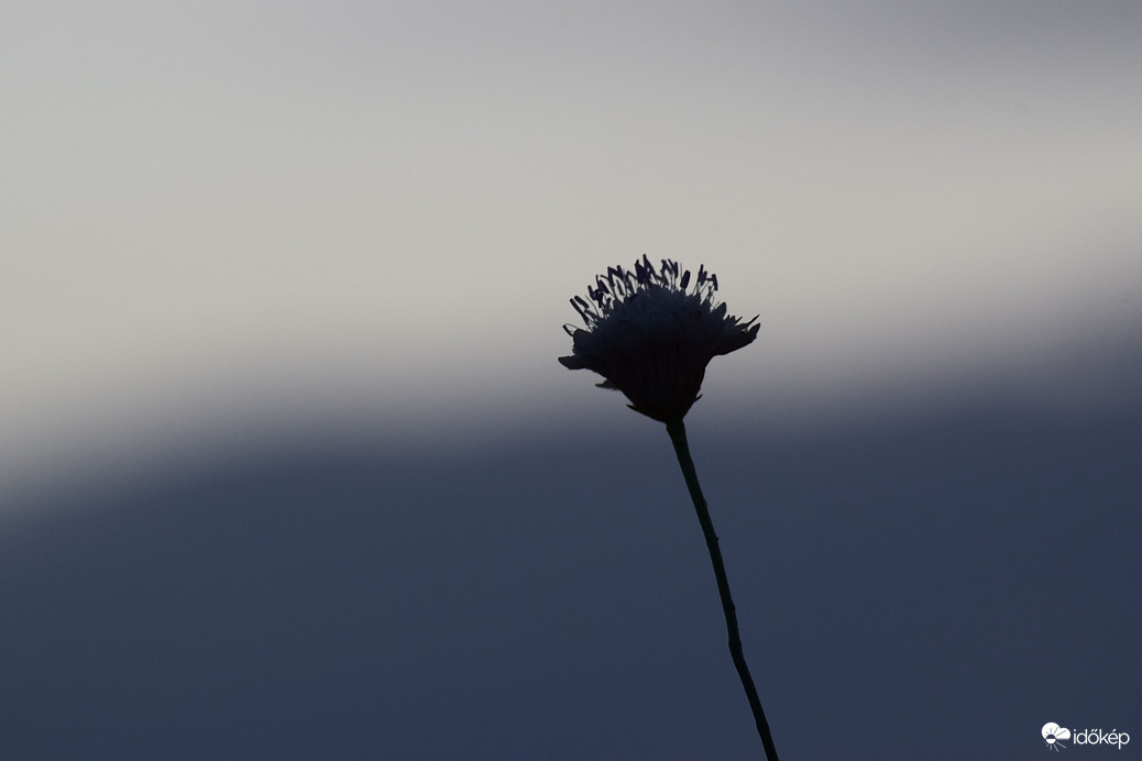 Tegnap este Dévaványán