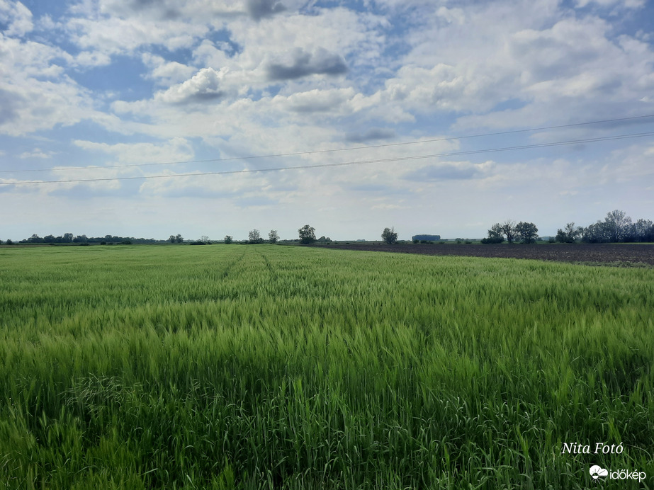 Tájkép Dévaványán 2