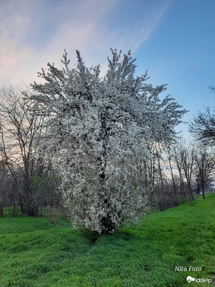 Az eső ereje: virágzás 2