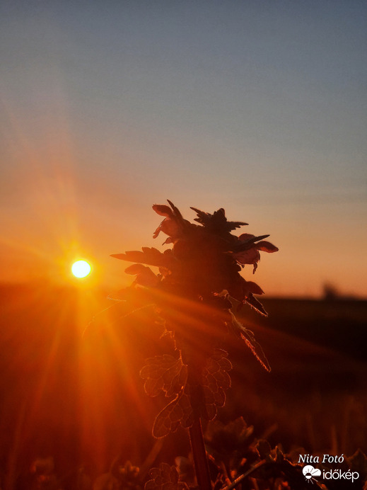 A lemenő nap sugara 2