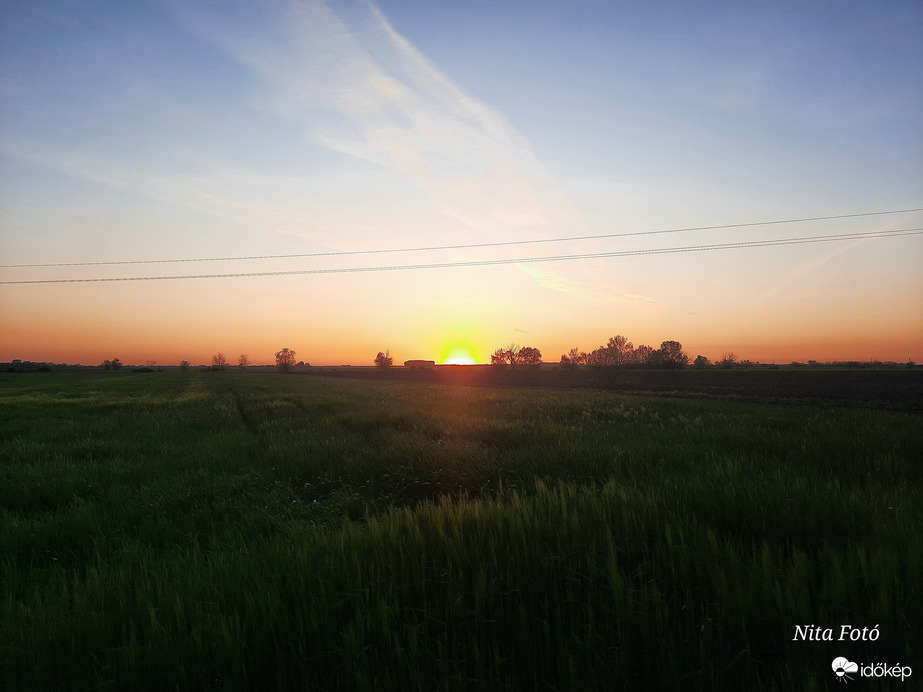 Napnyugta & kalászmező