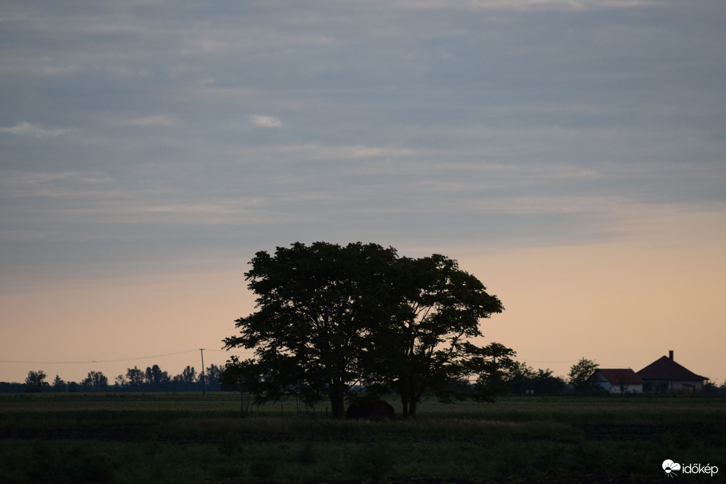 Naplemente előtt 5