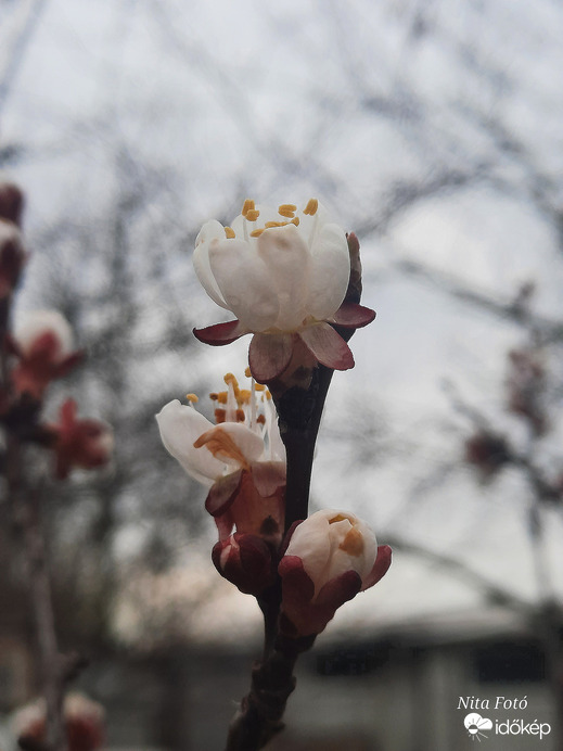 Borongós időben is gyönyörű 3