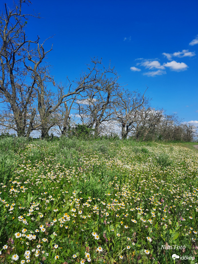Mai tájkép Dévaványán 6