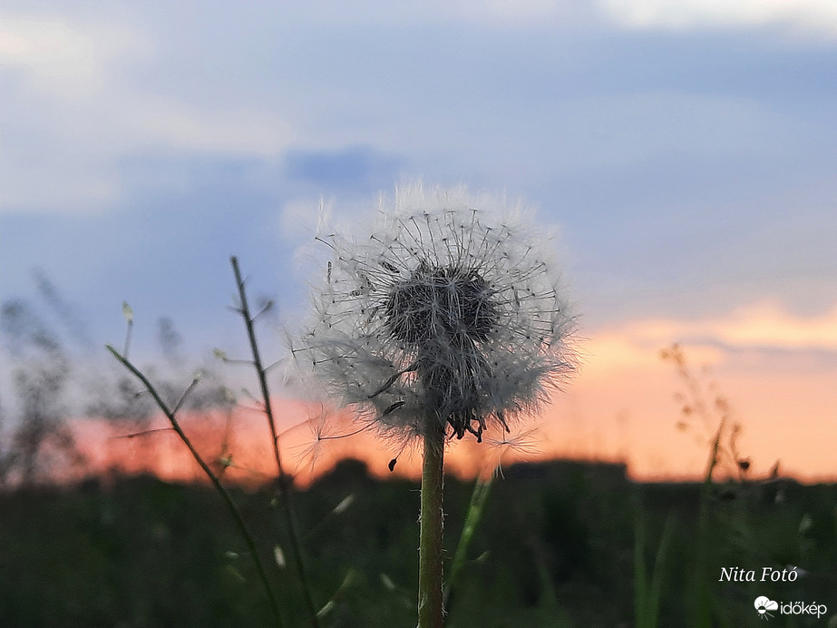 Ma esti naplemente & Pitypang 4