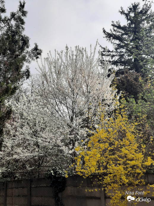 Tavaszi szín kombináció! :)