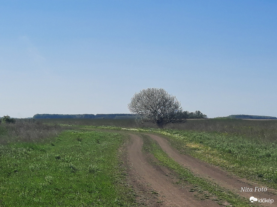 Mai tájkép Dévaványán 8