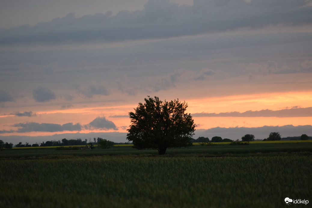 Naplemente előtti percek 1