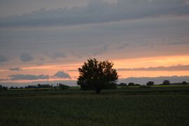 Naplemente előtti percek 1