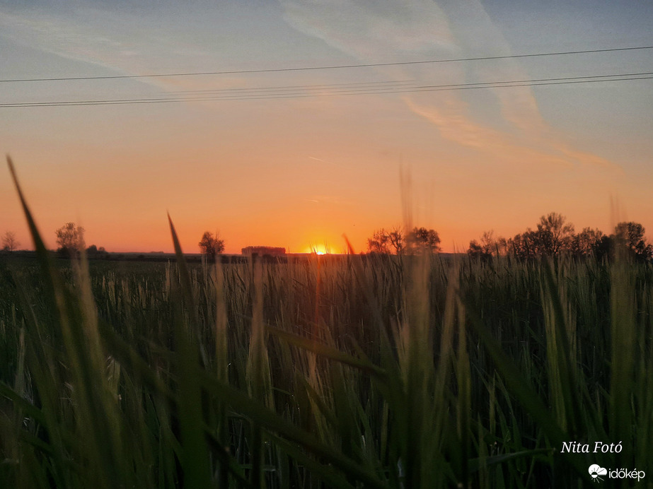 Lemenő nap a kalászok között 1