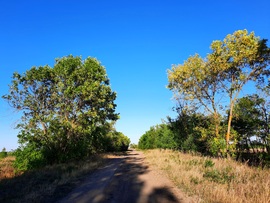 Ősz