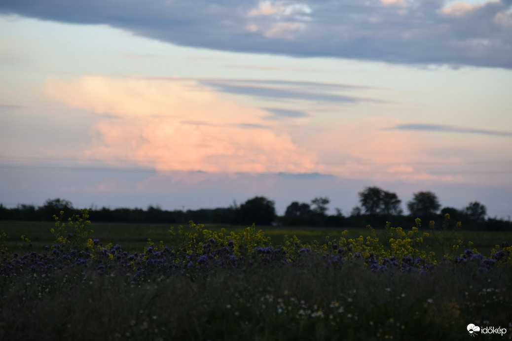 Virágmező & a felhőmenyország