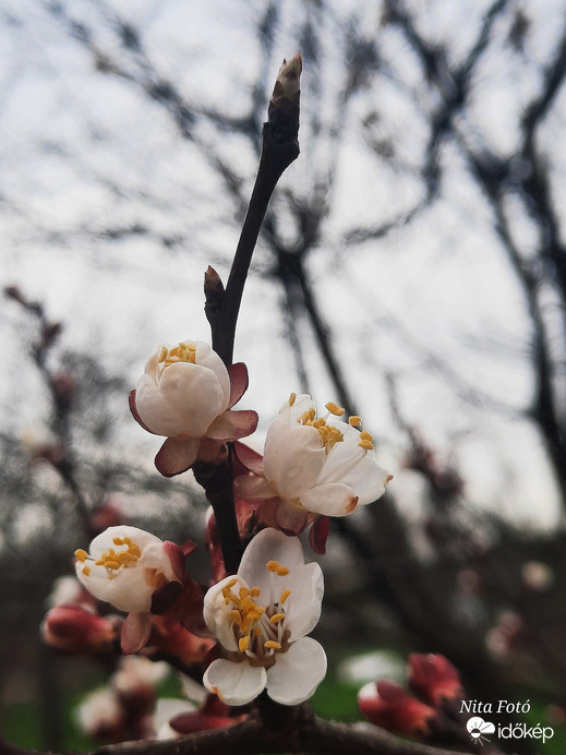 Borongós időben is gyönyörű 5