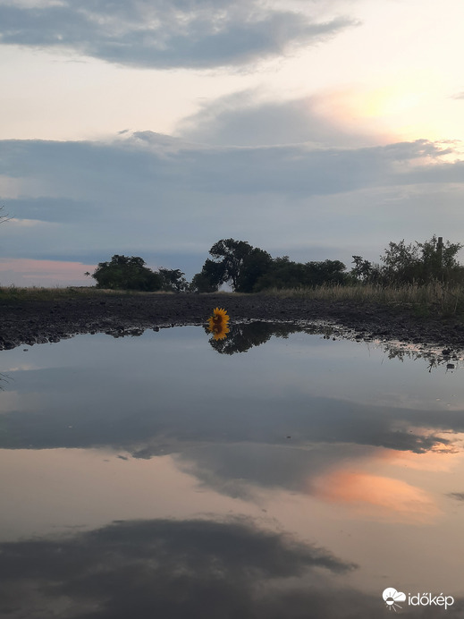 Tükörkép, tegnap este Dévaványán