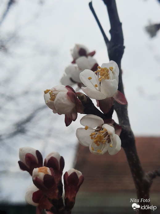 Borongós időben is gyönyörű 2