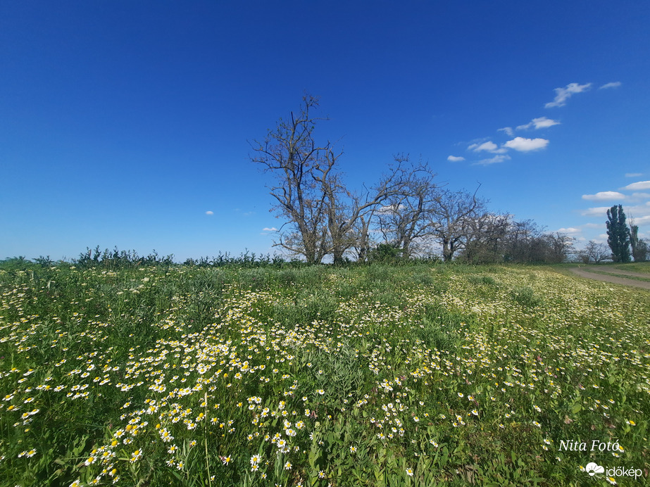 Mai tájkép Dévaványán 3
