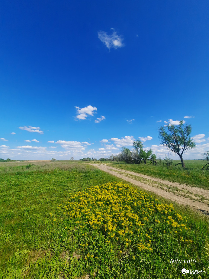 Mai tájkép Dévaványán 7